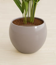 Load image into Gallery viewer, Winter Clouds stand:all