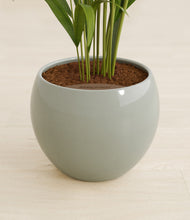 Load image into Gallery viewer, Deep Ocean stand:all