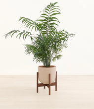Load image into Gallery viewer, Sandy Pink stand:dark