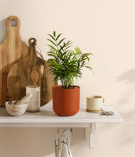 Load image into Gallery viewer, Earth Red