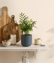 Load image into Gallery viewer, Iron Gray