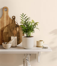 Load image into Gallery viewer, Natural Bamboo