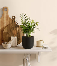 Load image into Gallery viewer, Stone Black