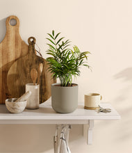 Load image into Gallery viewer, Sage Green