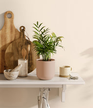 Load image into Gallery viewer, Sandy Pink