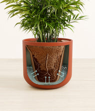 Load image into Gallery viewer, Earth Red