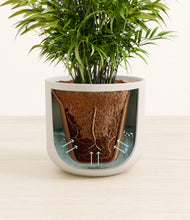 Load image into Gallery viewer, Natural Bamboo