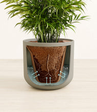 Load image into Gallery viewer, Sage Green