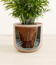 Load image into Gallery viewer, Sandy Pink