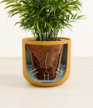 Load image into Gallery viewer, Sunset Orange