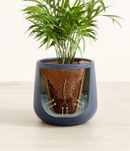 Load image into Gallery viewer, Deep Navy stand:all