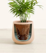 Load image into Gallery viewer, Gentle Pink stand:all