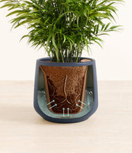 Load image into Gallery viewer, Deep Navy stand:all