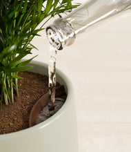 Load image into Gallery viewer, Turquoise stand:all