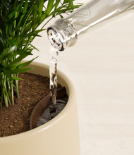 Load image into Gallery viewer, Almond Green stand:all