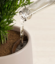 Load image into Gallery viewer, Eternal Gray stand:all