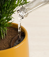 Load image into Gallery viewer, Mustard stand:all