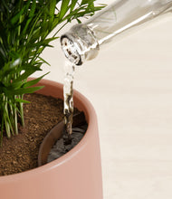 Load image into Gallery viewer, Calm Rose stand:all