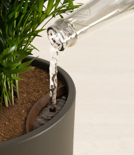 Load image into Gallery viewer, Dark Olive stand:all