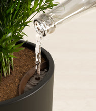 Load image into Gallery viewer, Black stand:all