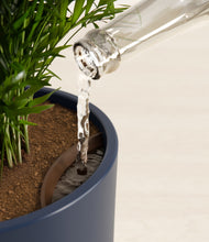 Load image into Gallery viewer, Deep Navy stand:all