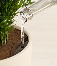 Load image into Gallery viewer, Cream stand:all