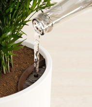 Load image into Gallery viewer, White stand:all