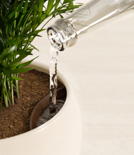 Load image into Gallery viewer, Shiny EggWhite stand:all