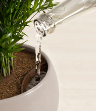 Load image into Gallery viewer, Winter Clouds stand:all