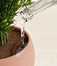 Load image into Gallery viewer, Calm Rose stand:all