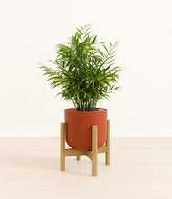 Load image into Gallery viewer, Earth Red stand:bamboo