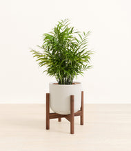 Load image into Gallery viewer, Natural Bamboo stand:walnut