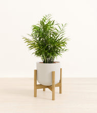 Load image into Gallery viewer, Natural Bamboo stand:bamboo