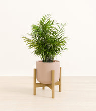Load image into Gallery viewer, Sandy Pink stand:bamboo