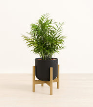 Load image into Gallery viewer, Stone Black stand:bamboo