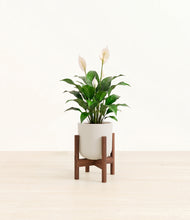 Load image into Gallery viewer, Natural Bamboo stand:dark