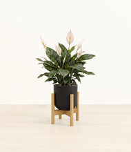 Load image into Gallery viewer, Stone Black stand:bamboo