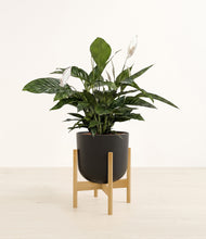 Load image into Gallery viewer, Stone Black stand:bamboo
