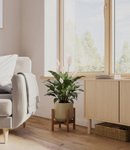 Load image into Gallery viewer, Olive stand:dark
