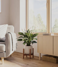 Load image into Gallery viewer, Eternal Gray stand:walnut