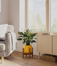 Load image into Gallery viewer, Mustard stand:walnut
