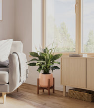 Load image into Gallery viewer, Calm Rose stand:walnut