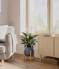 Load image into Gallery viewer, Deep Navy stand:light