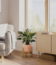Load image into Gallery viewer, Calm Rose stand:bamboo