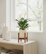 Load image into Gallery viewer, Almond Green stand:dark