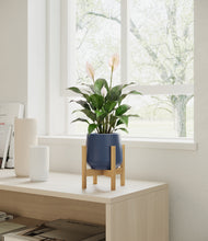 Load image into Gallery viewer, Deep Navy stand:light