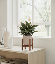 Load image into Gallery viewer, Eternal Gray stand:walnut