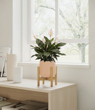 Load image into Gallery viewer, Gentle Pink stand:bamboo