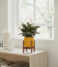 Load image into Gallery viewer, Mustard stand:walnut