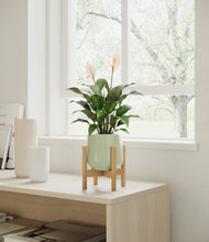 Load image into Gallery viewer, Turquoise stand:light
